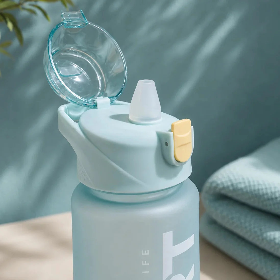 Sports Frosted Water Bottle