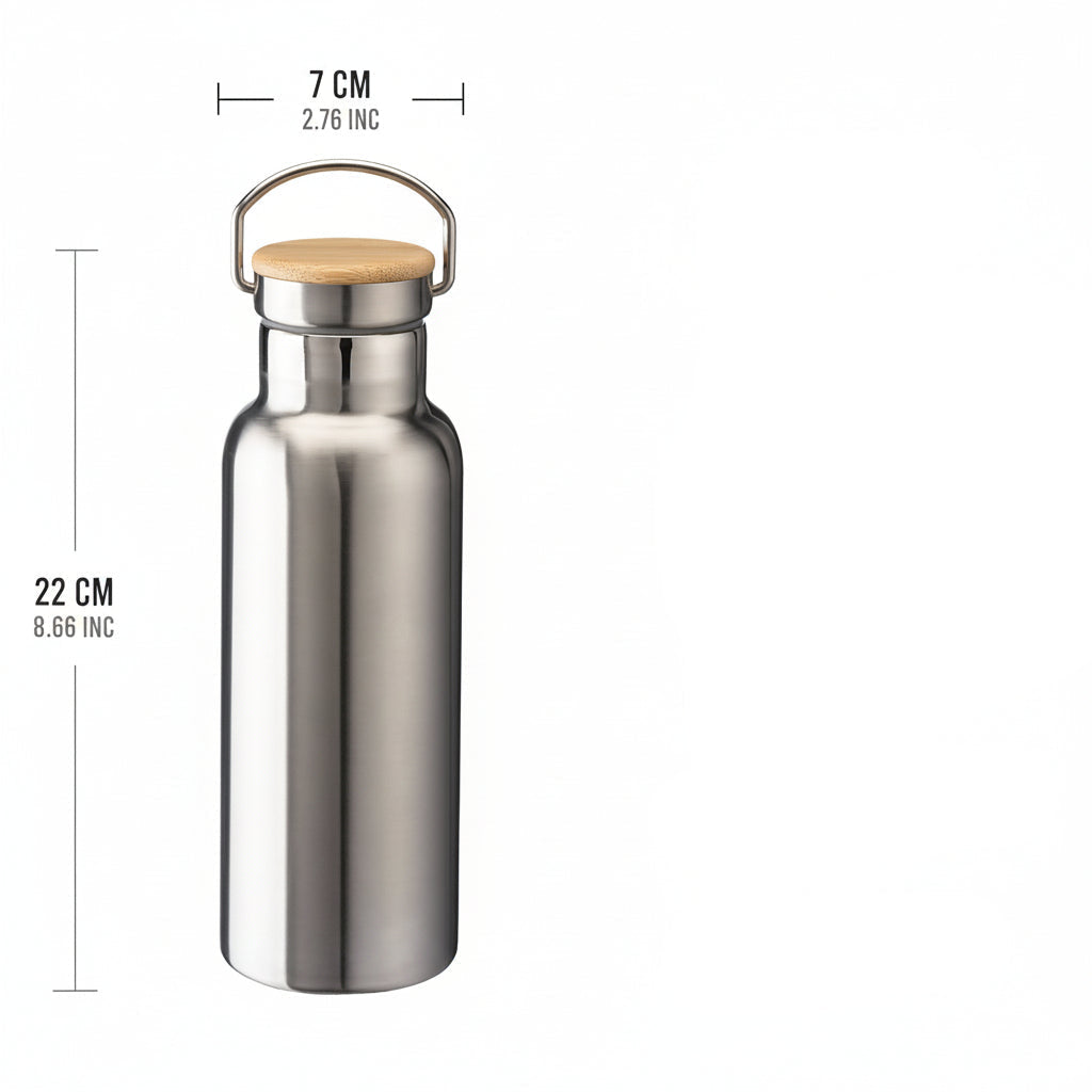 Hot & Cold Vacuum Insulated Bottle with Handle Lid